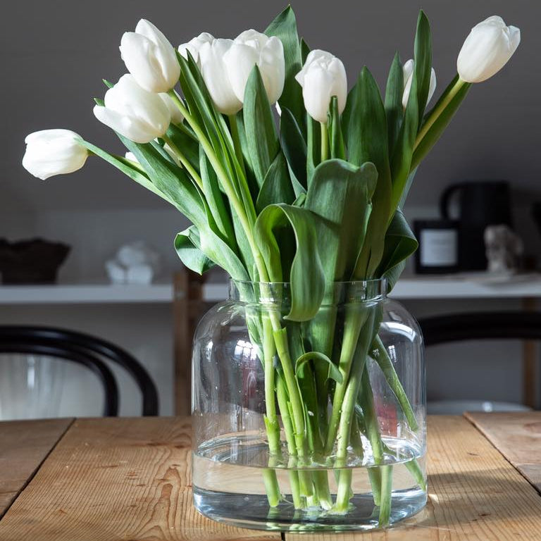 sögne paula glasskrukke 20 cm