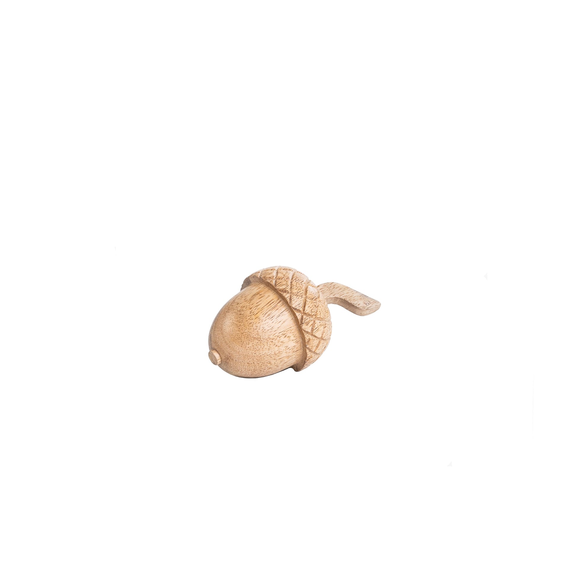 sögne nut acacia medium