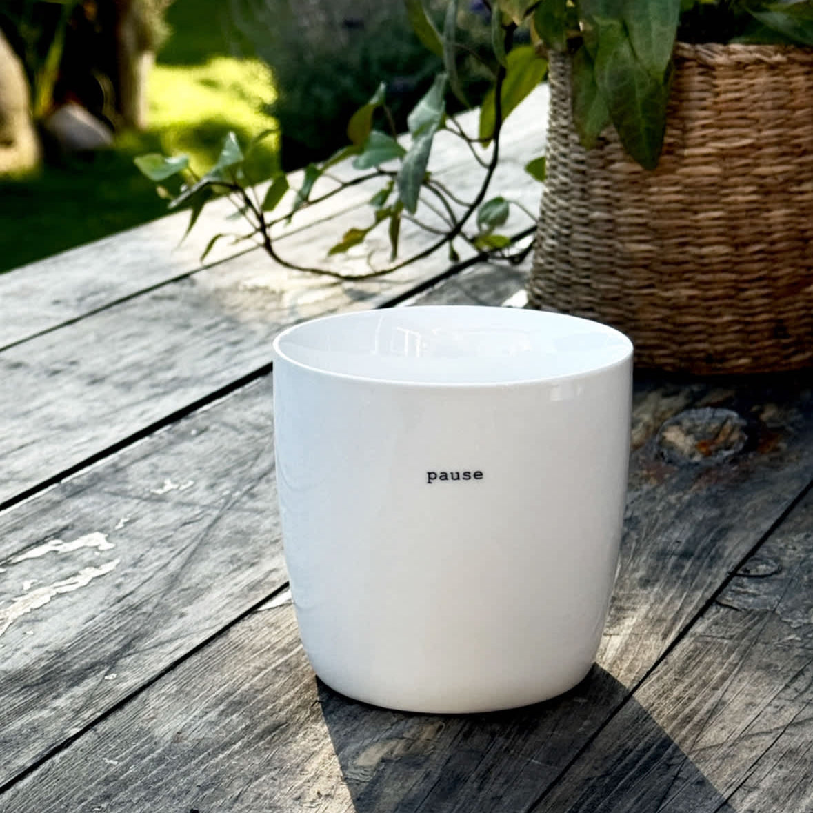 sögne krus hvit  pause