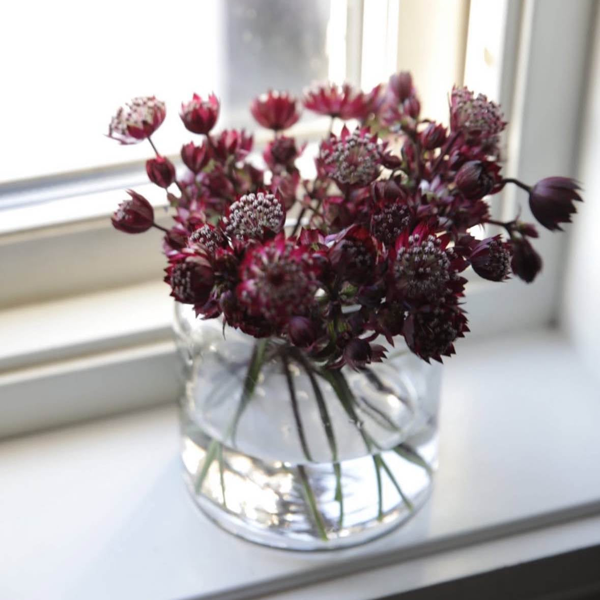 sögne Paula glass jar 11 cm